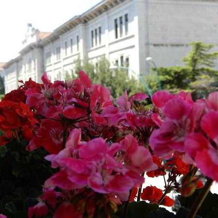 Luciano And Son Bed & Breakfast Campobasso Bagian luar foto