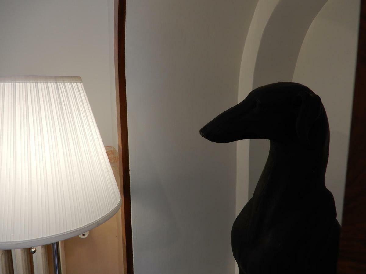 Luciano And Son Bed & Breakfast Campobasso Bagian luar foto