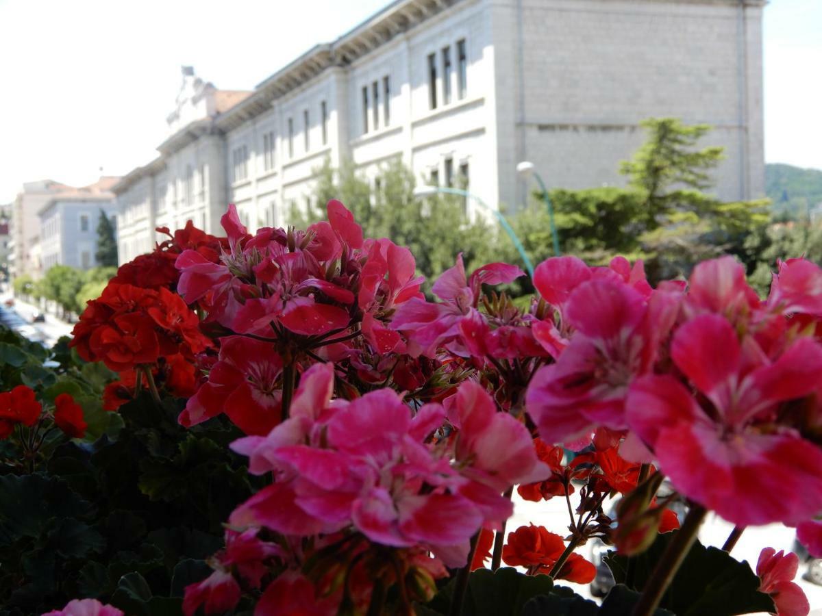 Luciano And Son Bed & Breakfast Campobasso Bagian luar foto